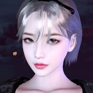 Seta