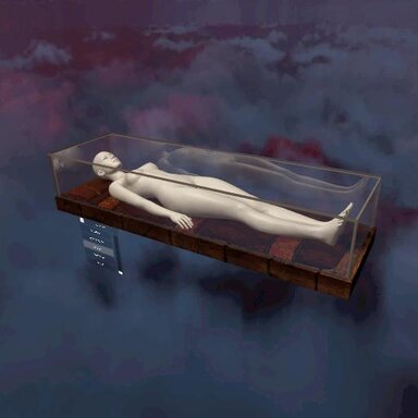 Glass Coffin/Cage