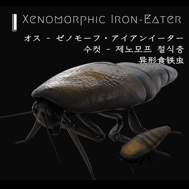 HEM' 13 - Alien Insectoid Pack 1