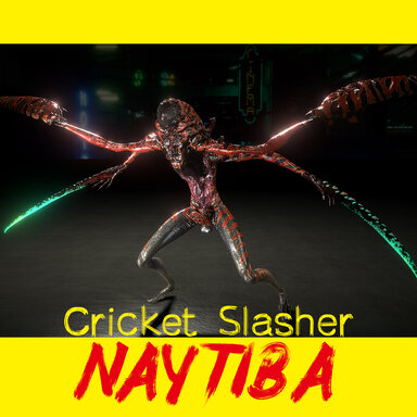 Naytiba - Cricket Slasher