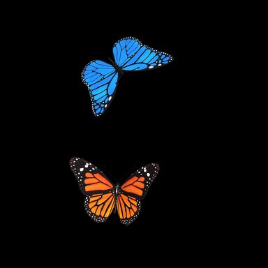 Madame Butterfly