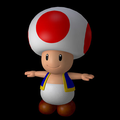 Toad the Explorer