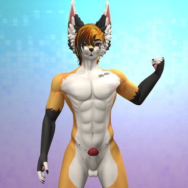 Anthro Furry Skyler Fox Look