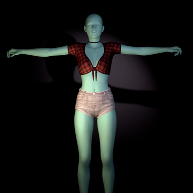 Jeans Shorts Red Tied Top Clothing Presets