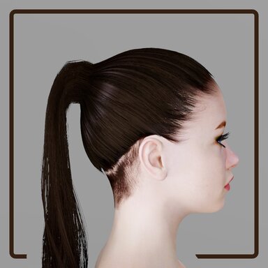 Tight Ponytail