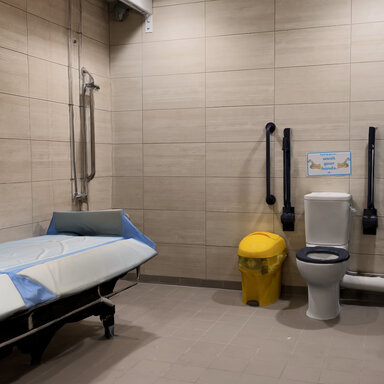 RealRooms_Toilet with bed