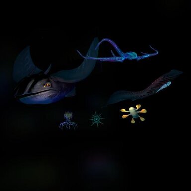 Alien Fauna (animated)