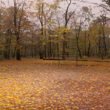 Autumn Park