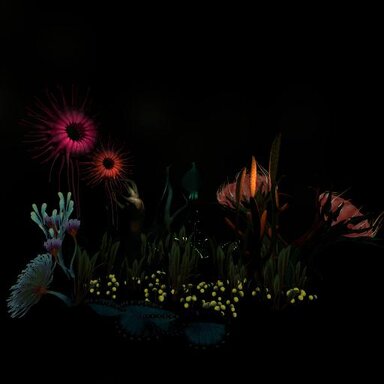 Alien Flora (animated)