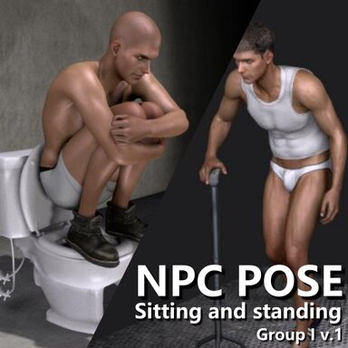 NPC POSE V.1