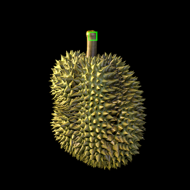 durian