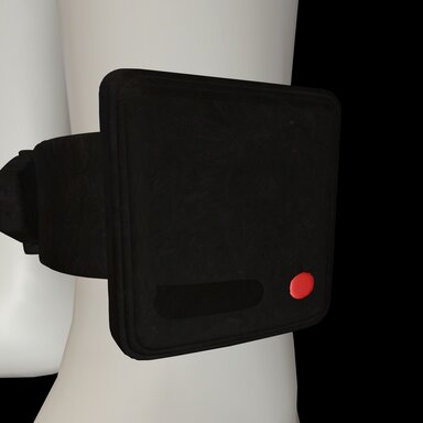 Ankle Monitor
