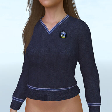 HP ravenclaw Jumper with presets