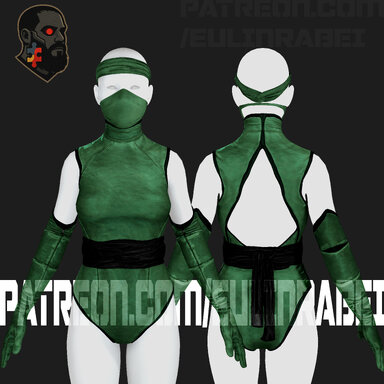 Ninja Classic Outfit