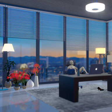 Rose's Modern  Office