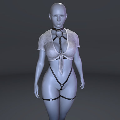Vanta Harness Set