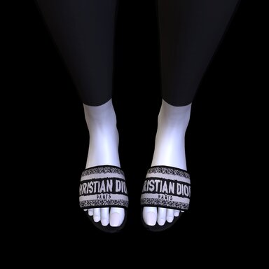 Dior Slides