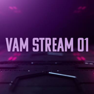 VaM Stream 01