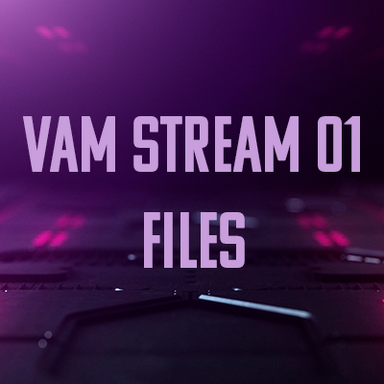 VaM Stream 01 Files