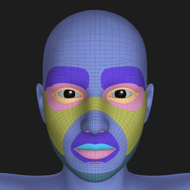 Facial Topology Guides
