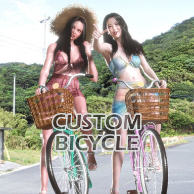 Custom Bicycle