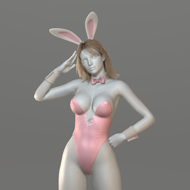 Bunny Suit