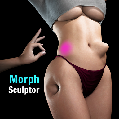 MorphSculptor