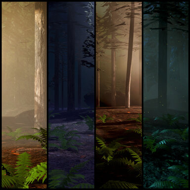 Pine Woods in Summer