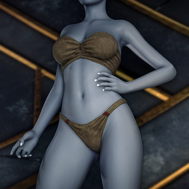 Corsair Underwear (Commission)
