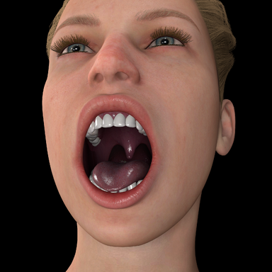 Realistic Mouth
