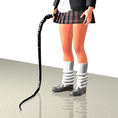 Whip_For_Sports (Asset and Script)