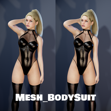 Mesh_BodySuit