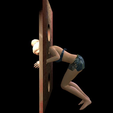 Wall Bdsm Multiuse