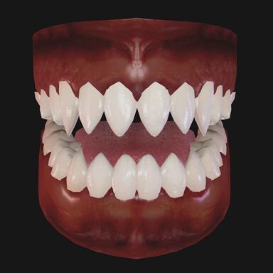 Shark Teeth