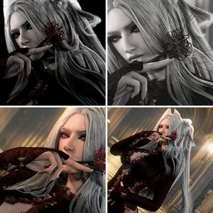 Lycoris