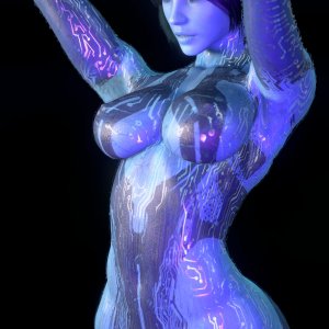 damarmau bp a1image0.jpg