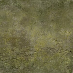 Concrete_08_Moss_basecolor.jpg
