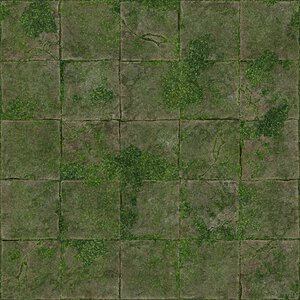 Old Mossy Tiles_Albedo.jpg