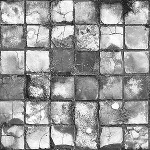 old tiles with moss bump.jpg