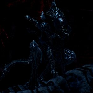 Xenomorph Raven
