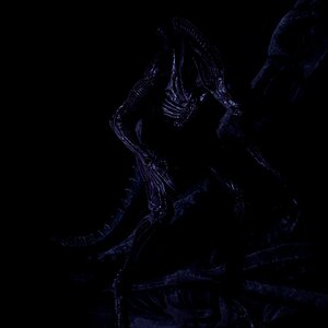 Xenomorph Drone