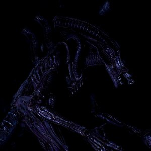 Xenomorph Drone