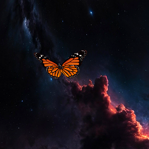 Butterfly Heaven 3