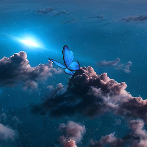 Butterfly Heaven 7
