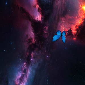 Butterfly Heaven 8