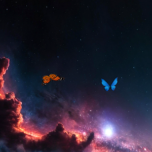 Butterfly Heaven 9