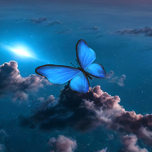 Butterfly Heaven 11