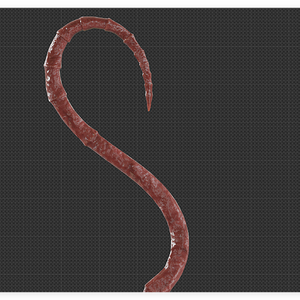 12 Tentacle Ecology 2 - 01