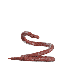 02-1-P2.png