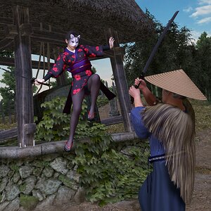 Female Ninja vs. Ronin